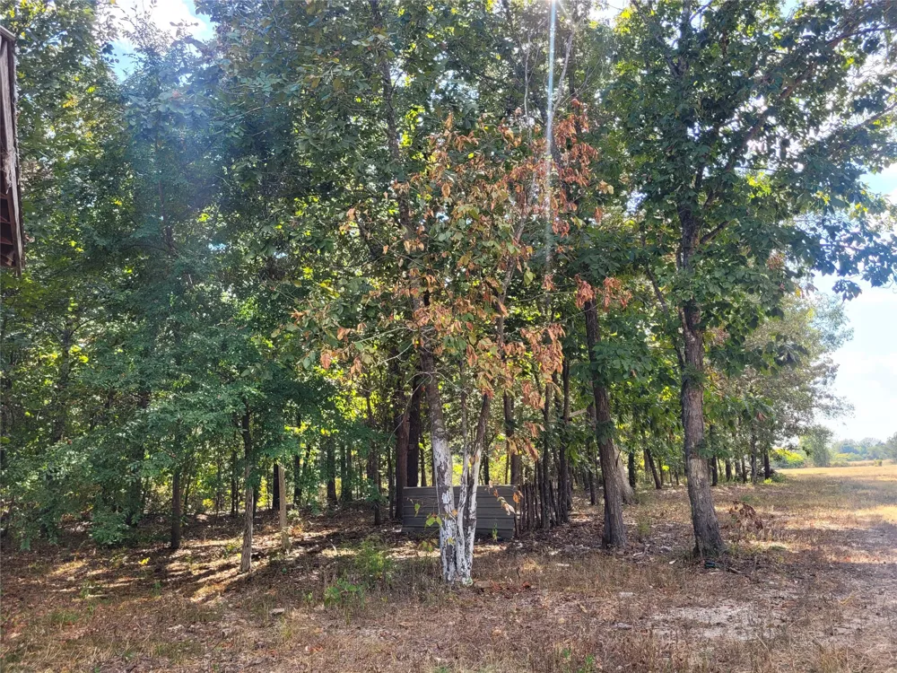 County Road 2140 Detroit, TX 75436