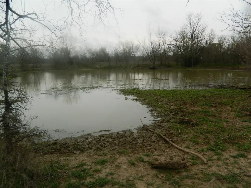 FCR 995 Wortham, TX 76693