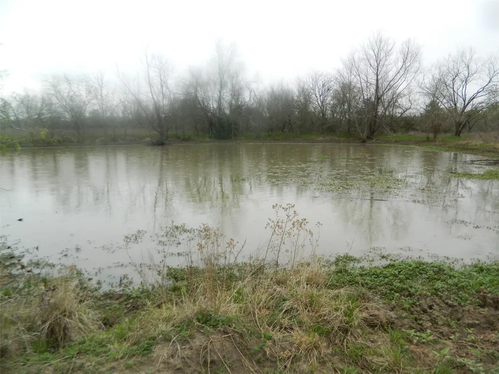 FCR 995 Wortham, TX 76693