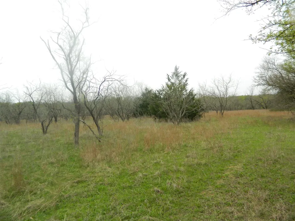 FCR 995 Wortham, TX 76693