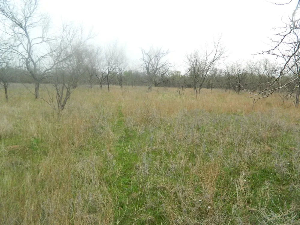 FCR 995 Wortham, TX 76693
