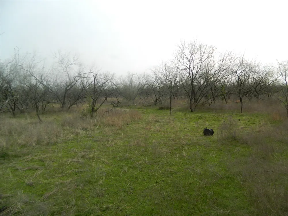 FCR 995 Wortham, TX 76693