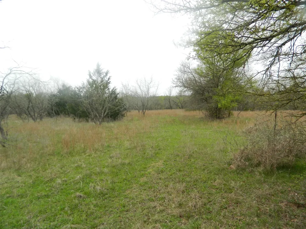 FCR 995 Wortham, TX 76693