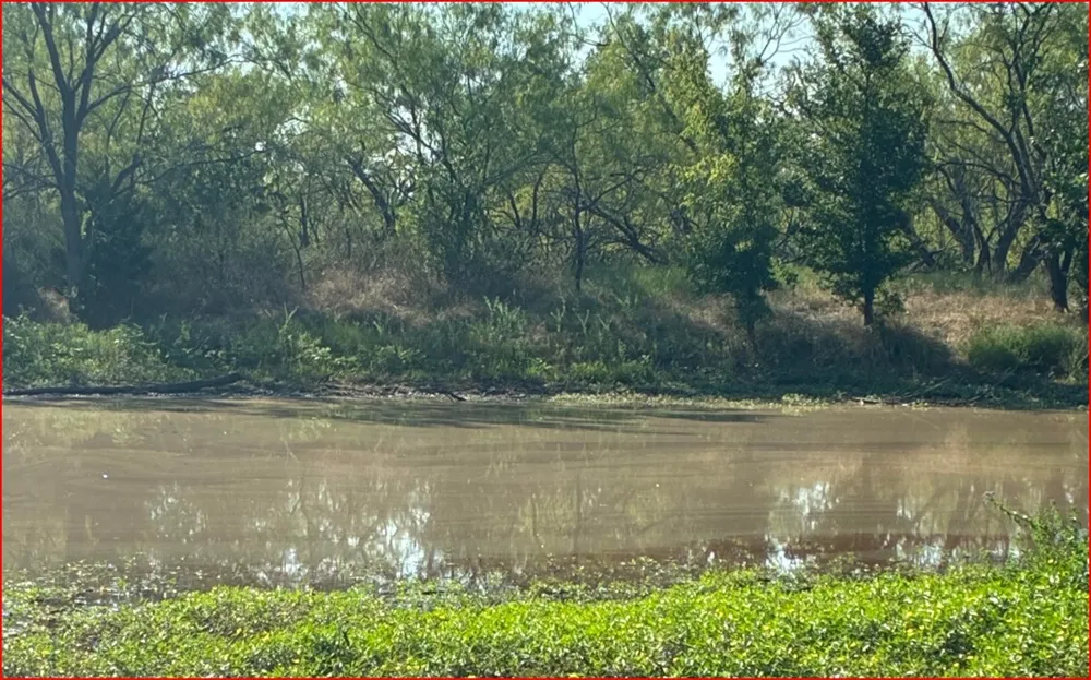 FCR 995 Wortham, TX 76693