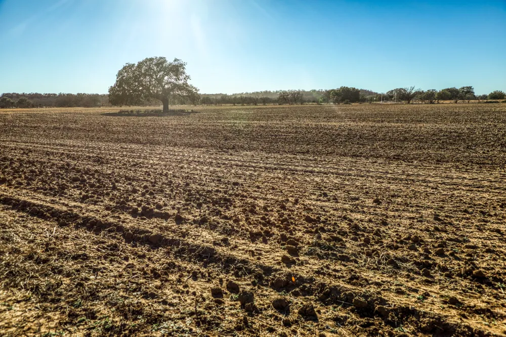 2387 Farm to Market 503 Coleman, TX 76834