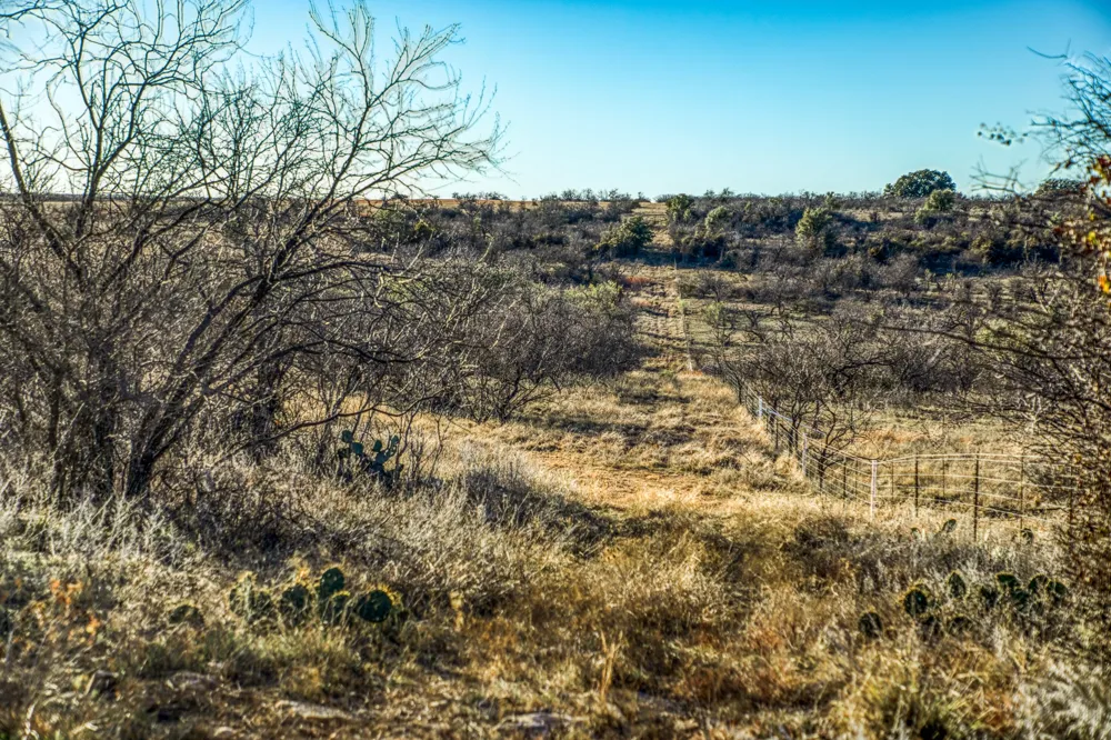 2387 Farm to Market 503 Coleman, TX 76834