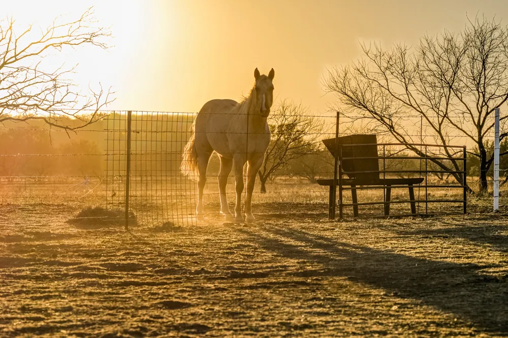 2387 Farm to Market 503 Coleman, TX 76834