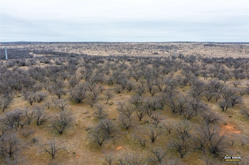 1333 HWY 283 Baird, TX 79504