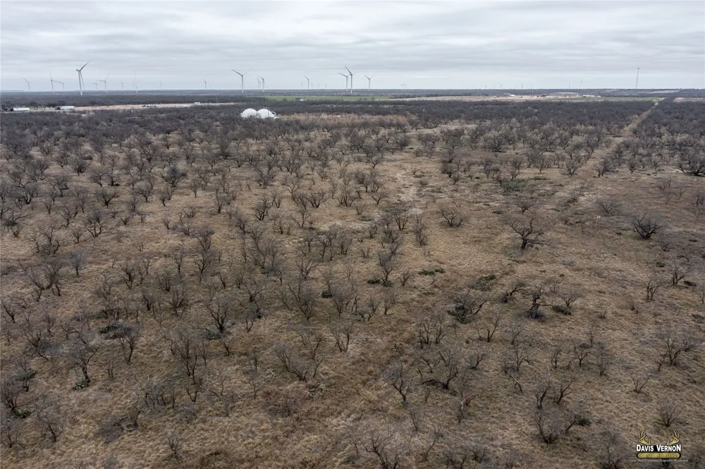 10737 i-20 W Clyde, TX 79510