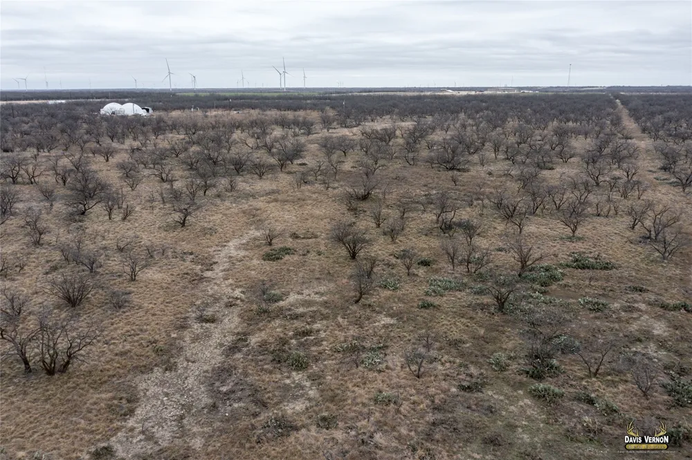 10737 i-20 W Clyde, TX 79510