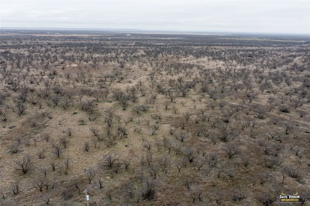 10737 i-20 W Clyde, TX 79510