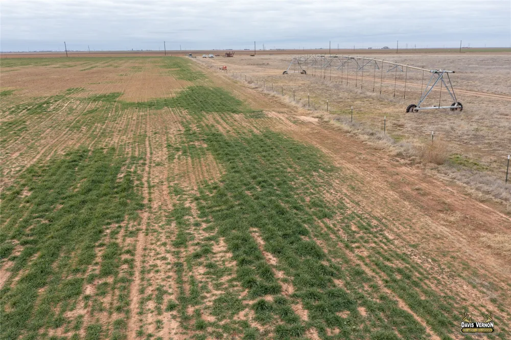 3 CR 4354 Munday, TX 76371