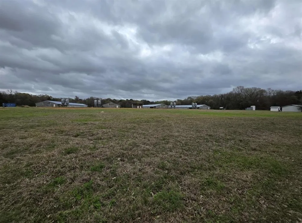 1886 Opossum Rd Pittsburg, TX 75686