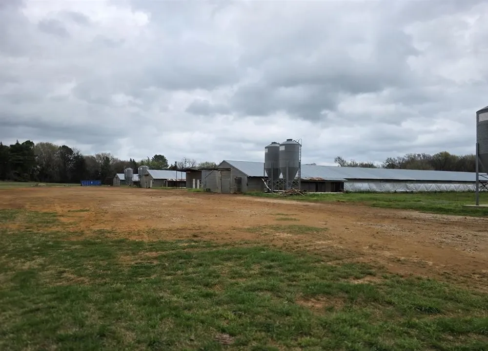 1886 Opossum Rd Pittsburg, TX 75686