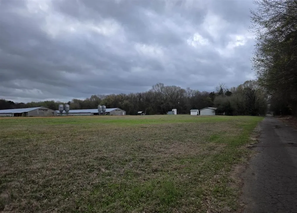 1886 Opossum Rd Pittsburg, TX 75686