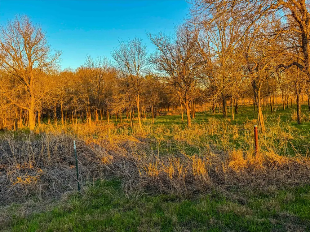 Round Hall Road Holland, TX 76534
