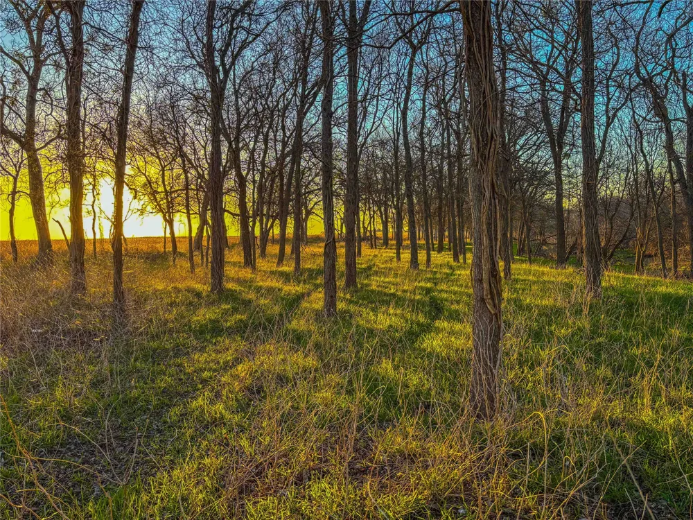 Round Hall Road Holland, TX 76534