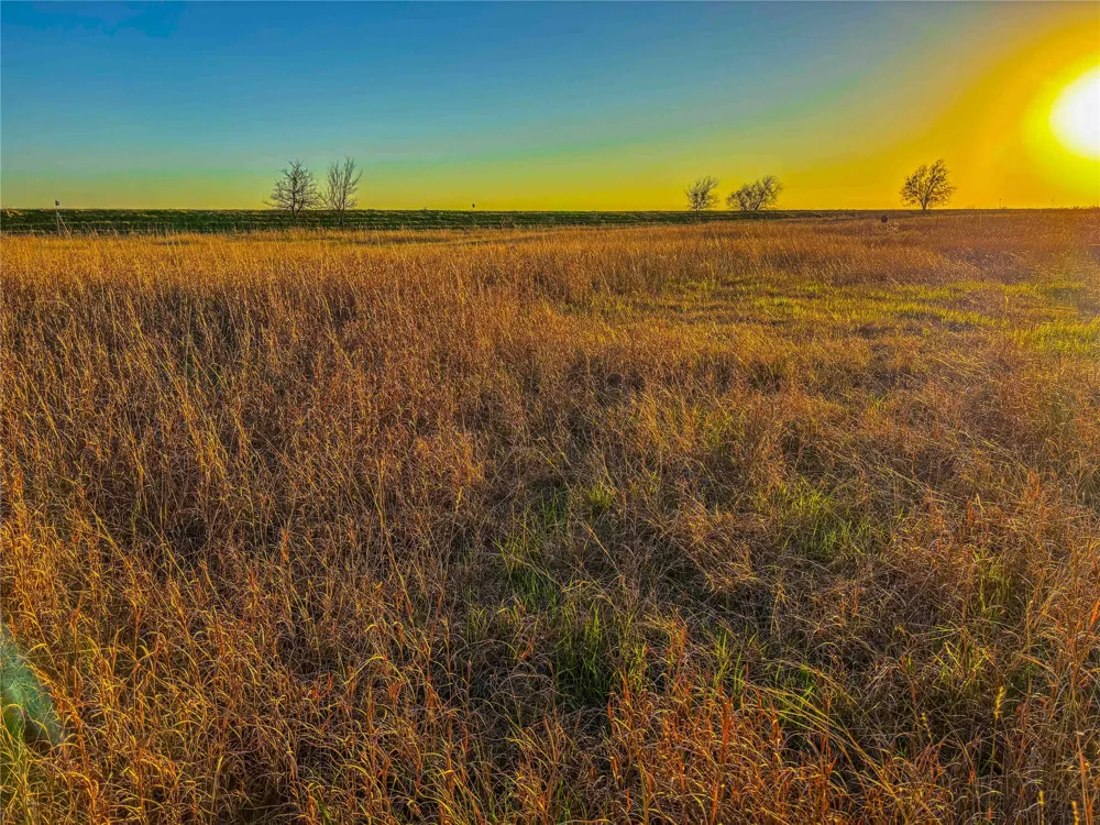 Round Hall Road Holland, TX 76534