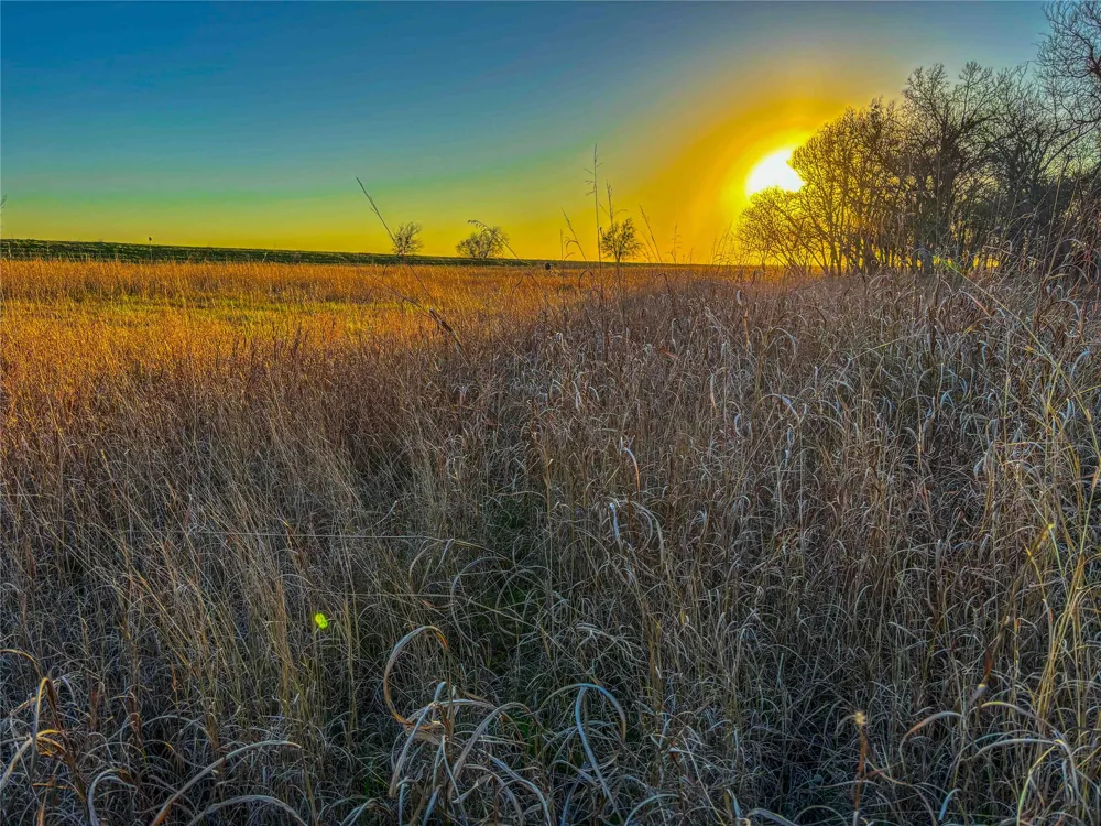 Round Hall Road Holland, TX 76534