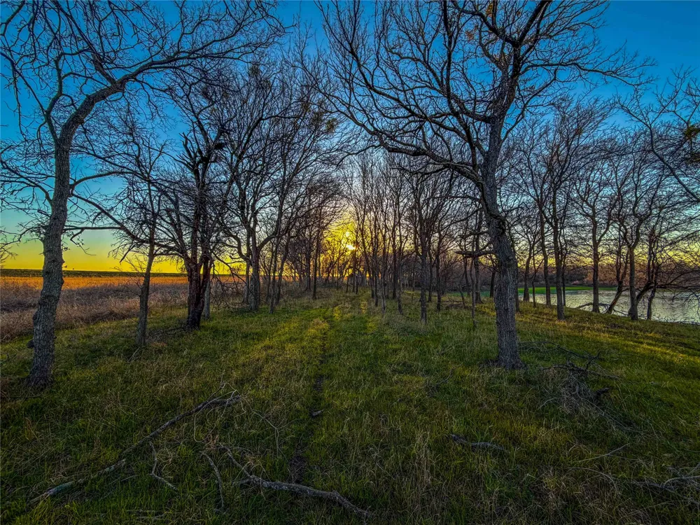 Round Hall Road Holland, TX 76534