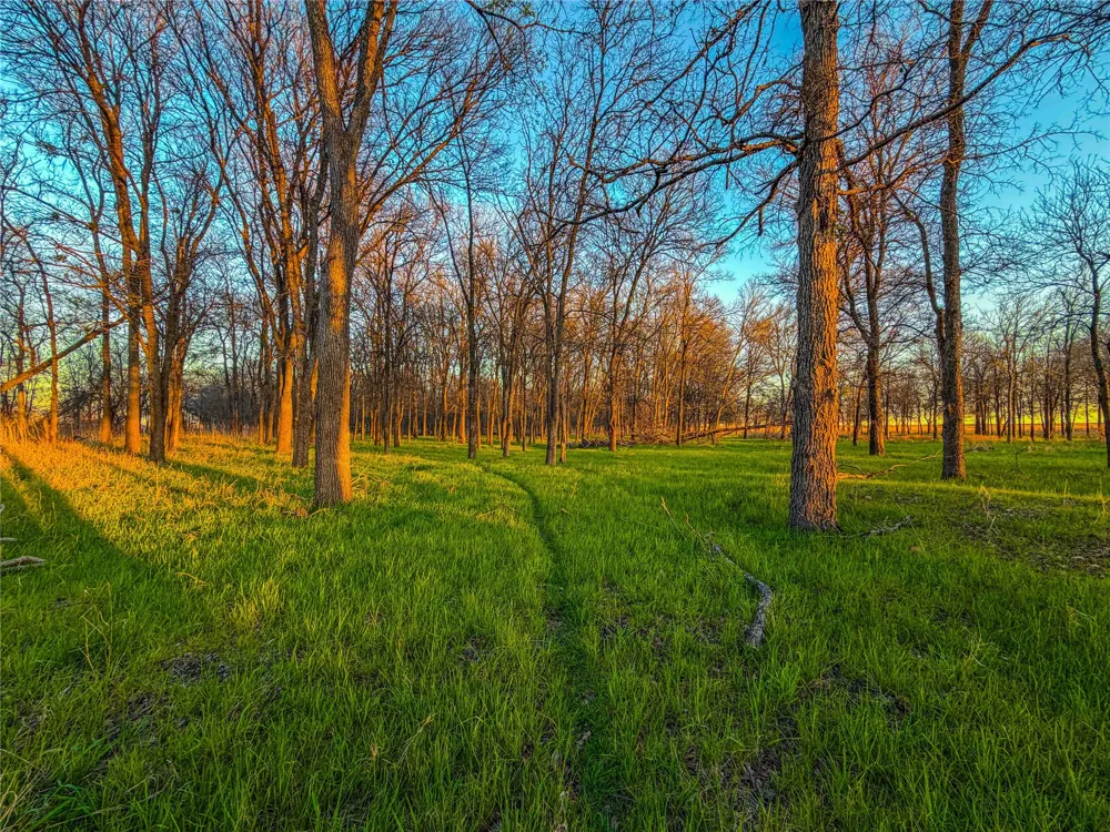Round Hall Road Holland, TX 76534