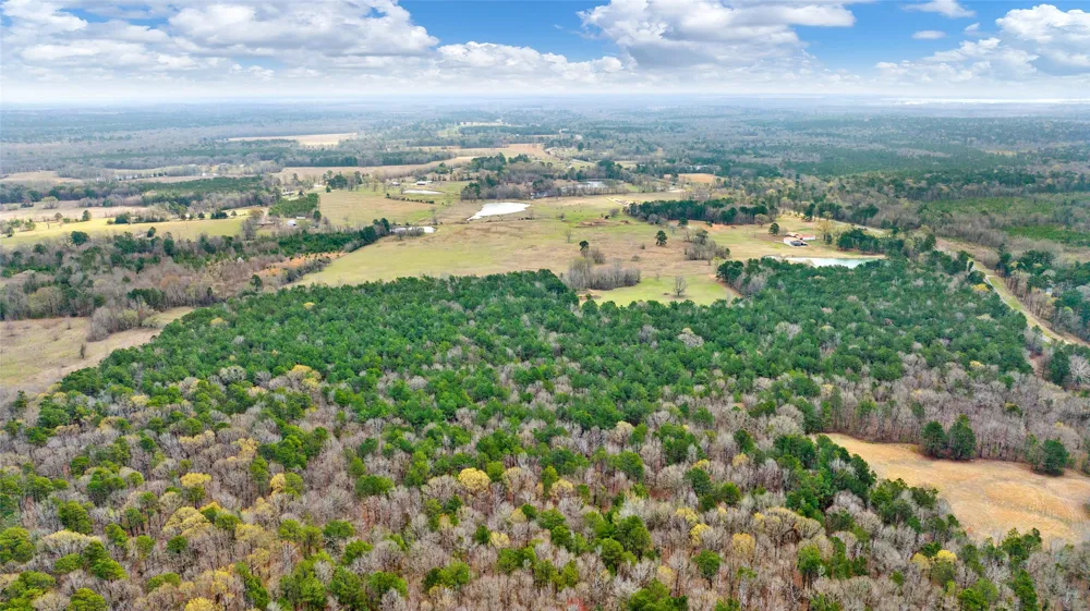 2964 FM 2120 Bagwell, TX 75412