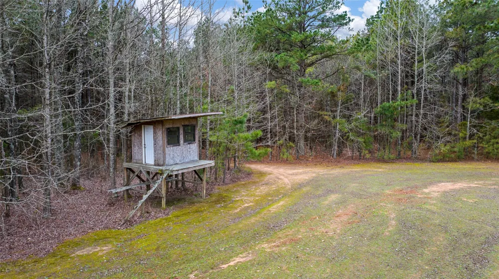 2964 FM 2120 Bagwell, TX 75412