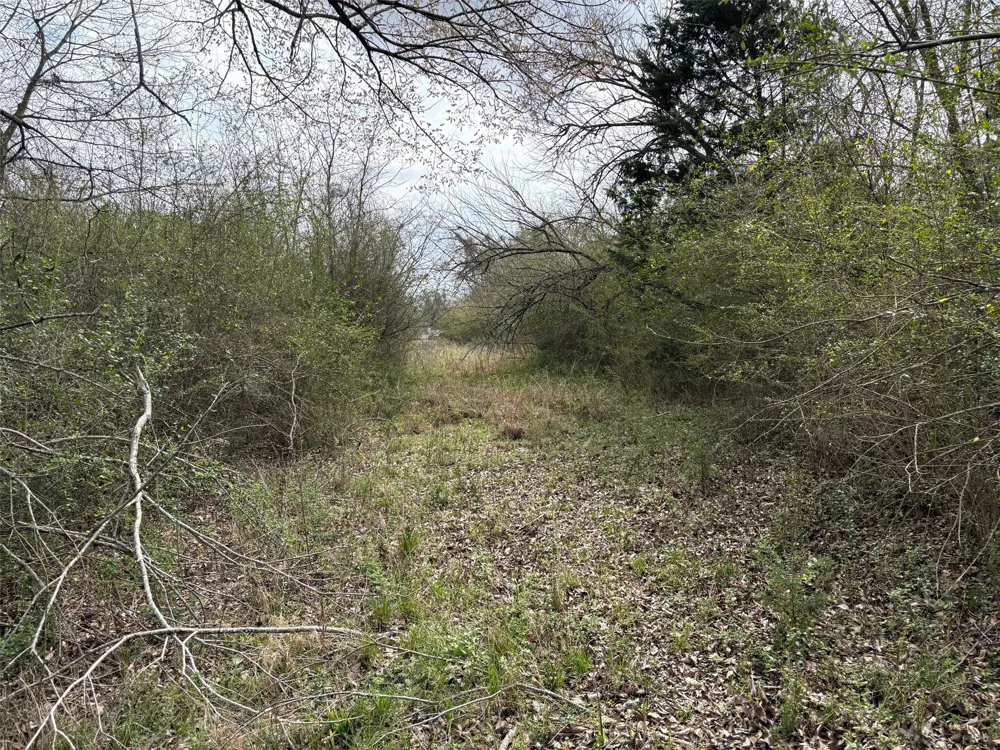 County Road 666 Kosse, TX 76653