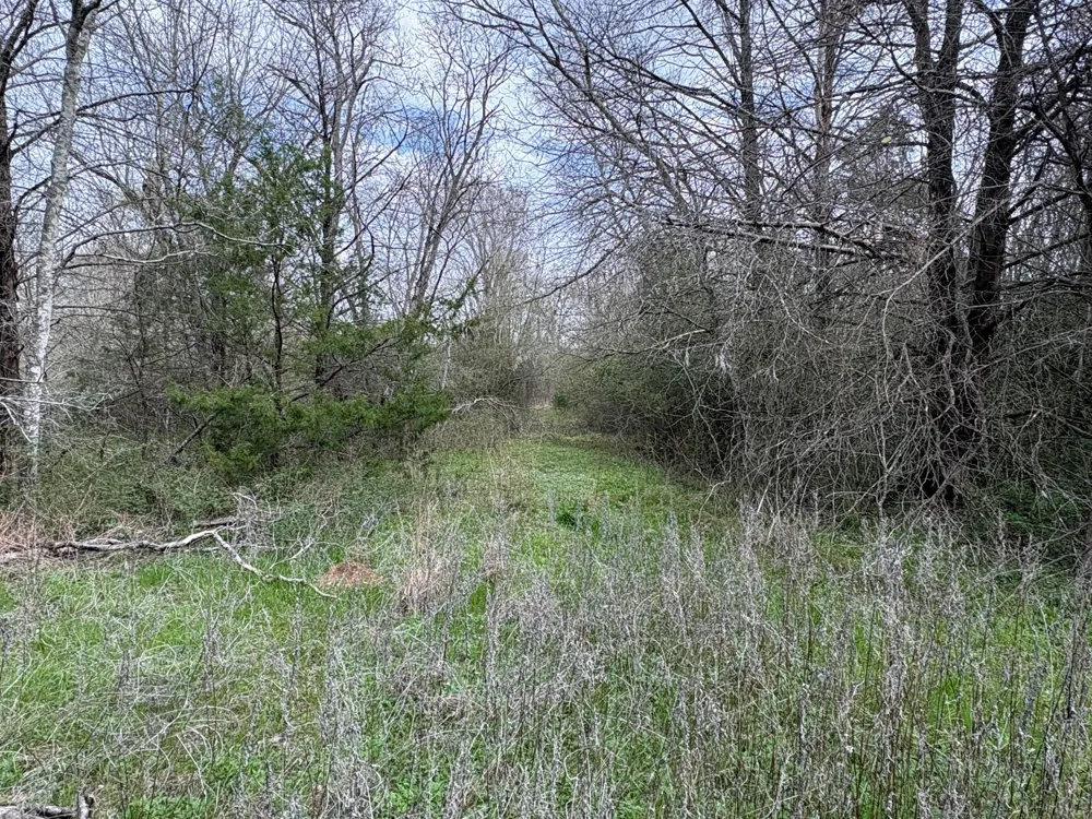 County Road 666 Kosse, TX 76653