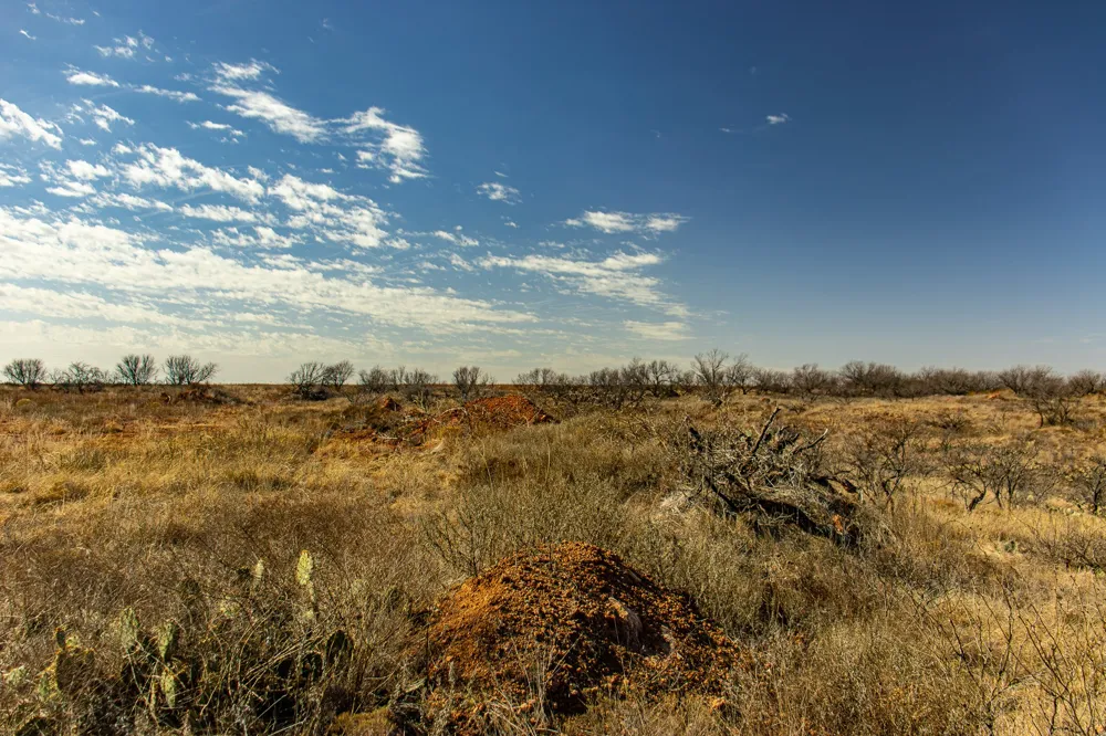Westover Road Seymour, TX 76380