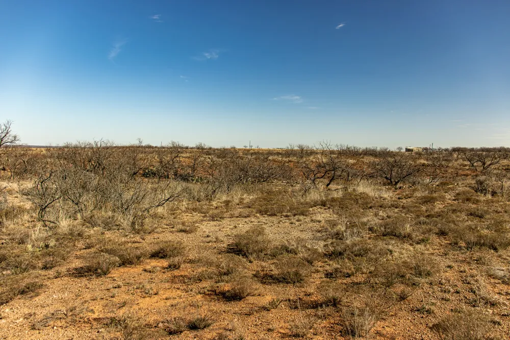 Westover Road Seymour, TX 76380