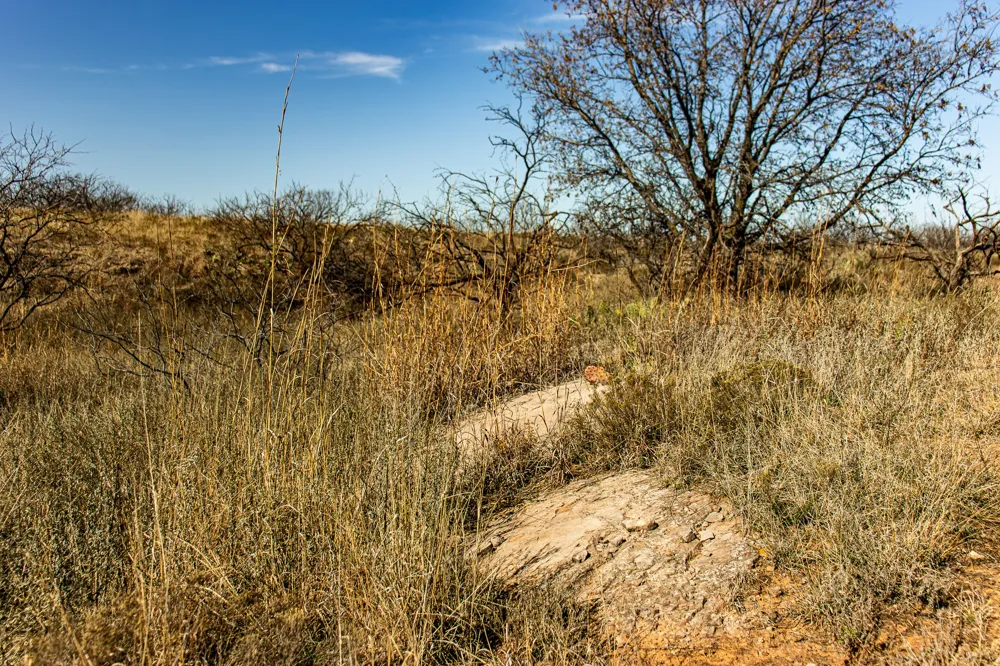 Westover Road Seymour, TX 76380