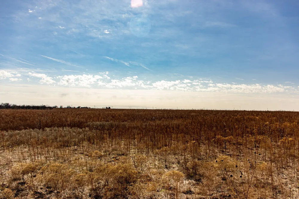 Westover Road Seymour, TX 76380