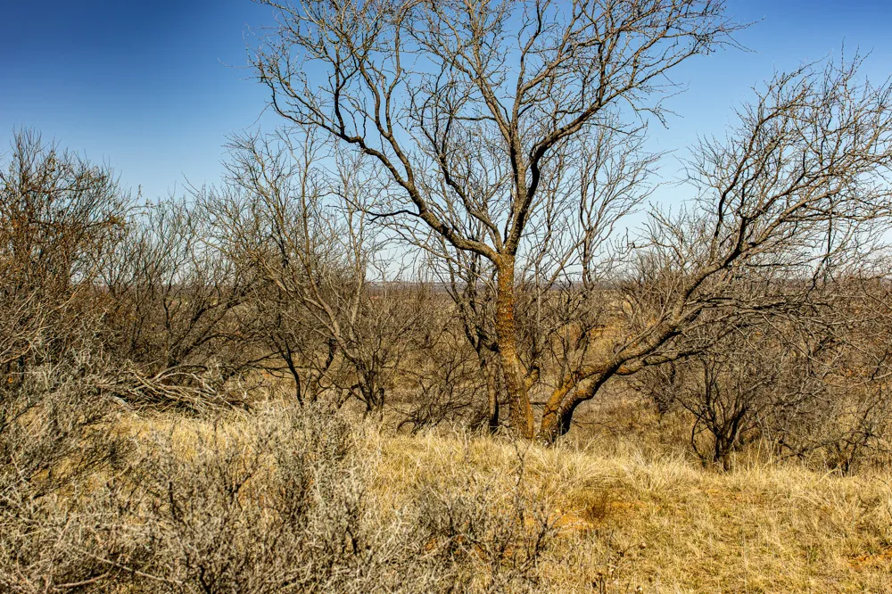 Westover Road Seymour, TX 76380
