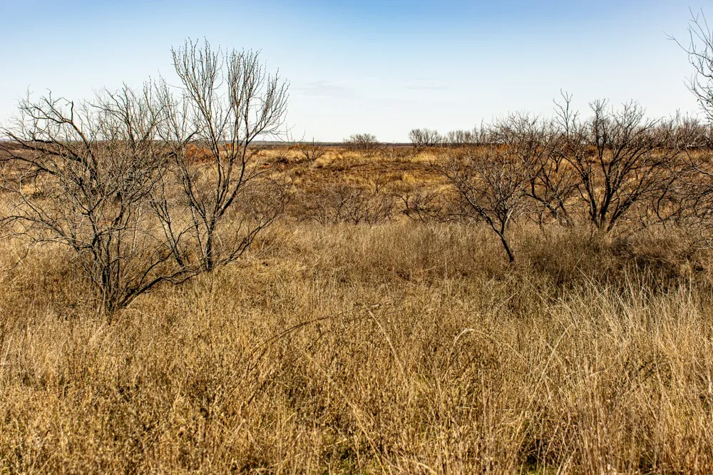 Westover Road Seymour, TX 76380