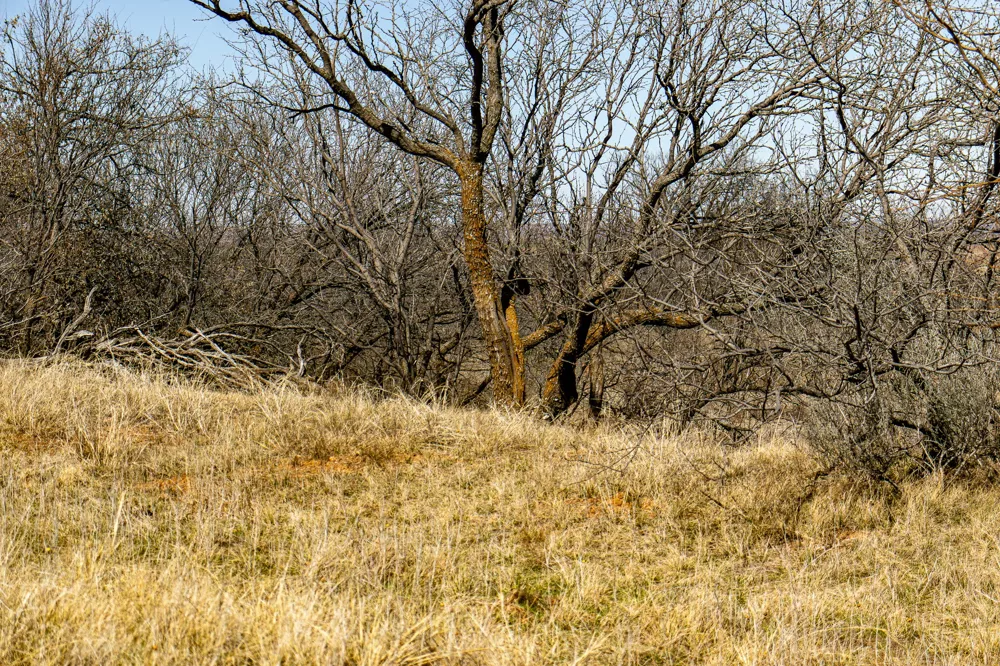 Westover Road Seymour, TX 76380
