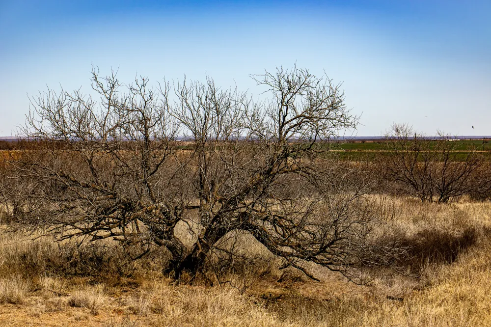 Westover Road Seymour, TX 76380