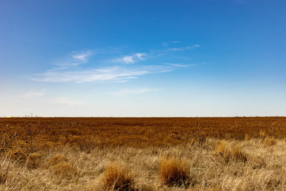 Westover Road Seymour, TX 76380
