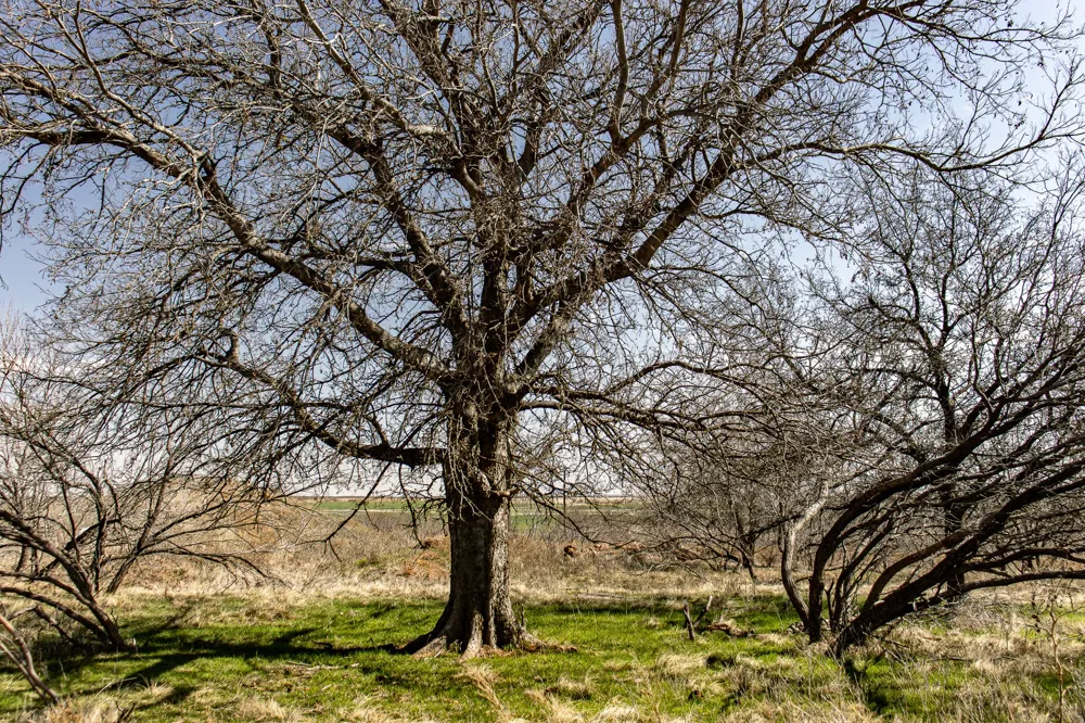 Westover Road Seymour, TX 76380