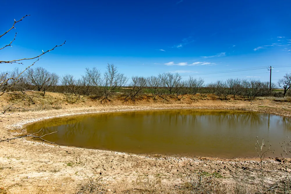 Westover Road Seymour, TX 76380