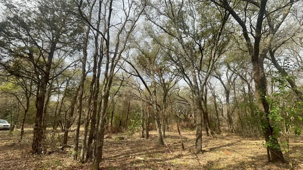 VIRGINIA Waco, TX 76705