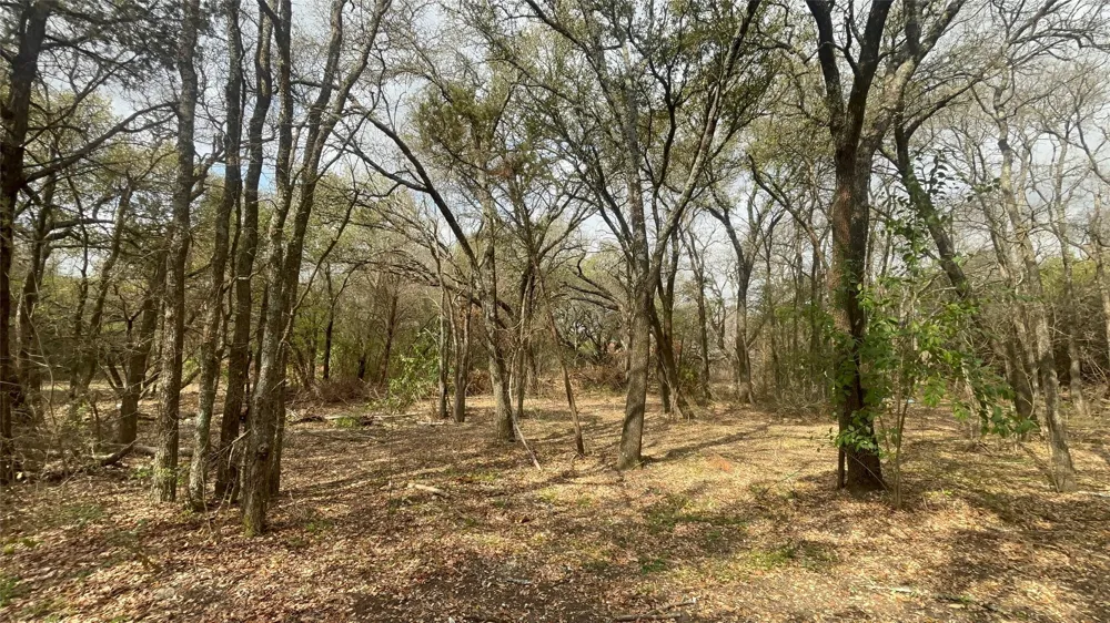 VIRGINIA Waco, TX 76705