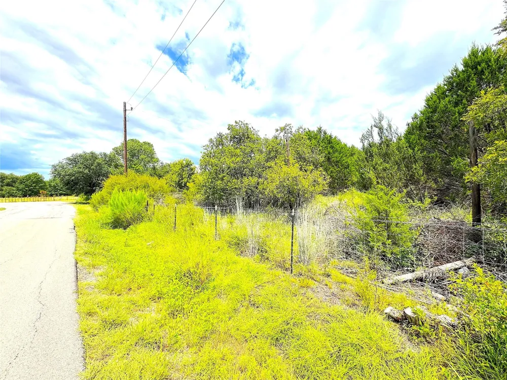 Consolation Drive Millsap, TX 76066
