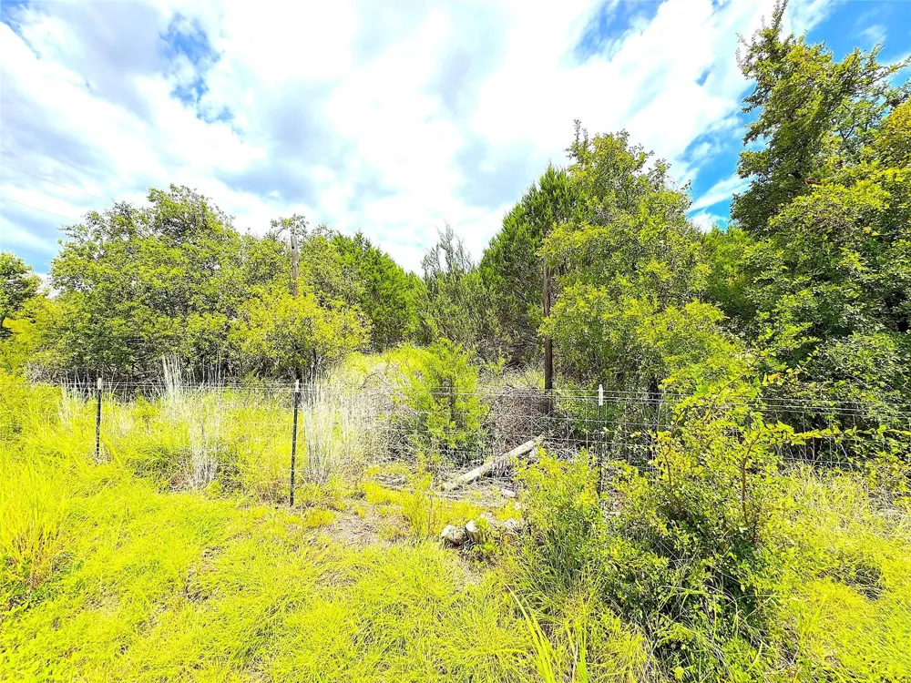 Consolation Drive Millsap, TX 76066