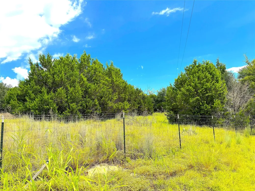 Consolation Drive Millsap, TX 76066