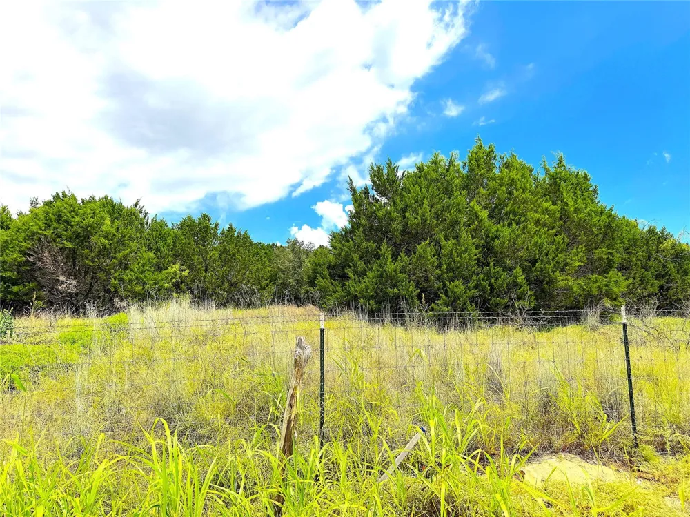 Consolation Drive Millsap, TX 76066