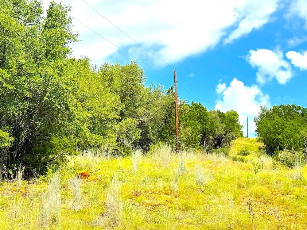 Consolation Drive Millsap, TX 76066