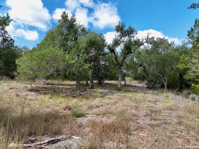 19825-A Ranch Rd 12 Driftwood, TX 78619