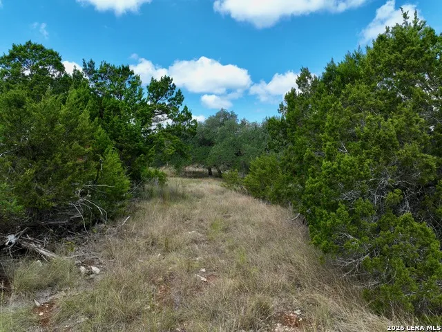 19825-A Ranch Rd 12 Driftwood, TX 78619