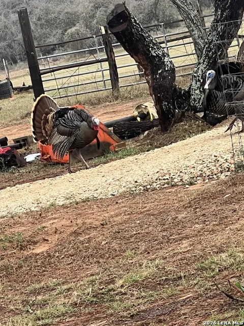 1384 County Road 326 Adkins, TX 78101